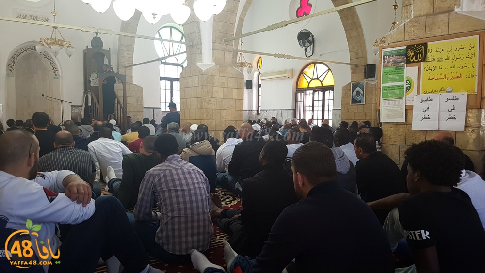 Mohamed3aysesha (1).jpg